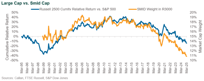 Large Cap v Smid Cap market cap weight